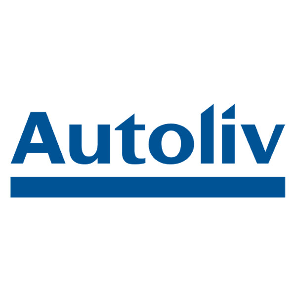 ALV logo