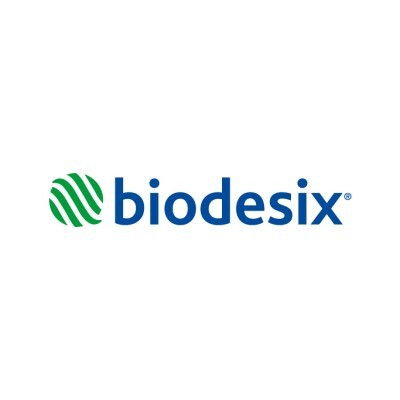 BDSX logo