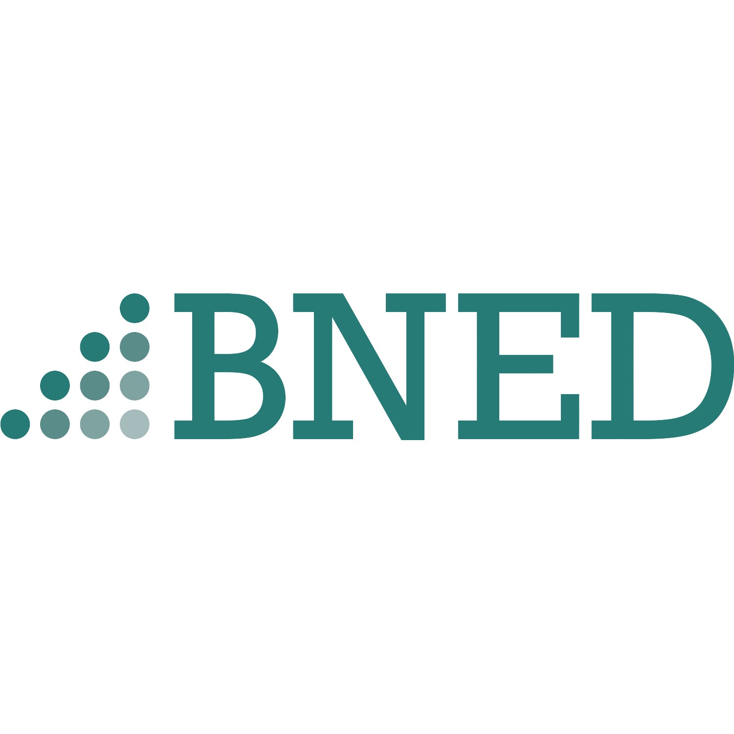 BNED logo