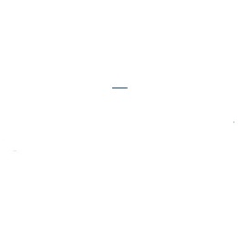 CIO logo
