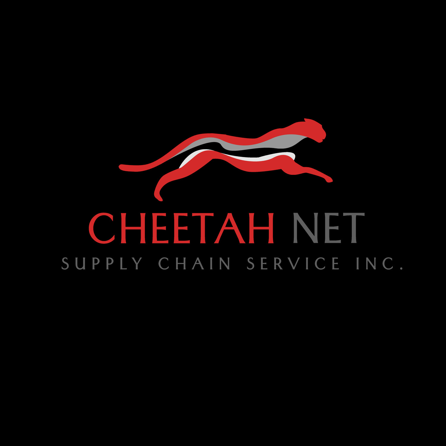 CTNT logo