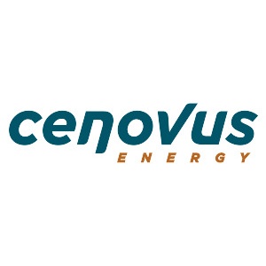 CVE logo