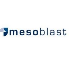 MESO logo