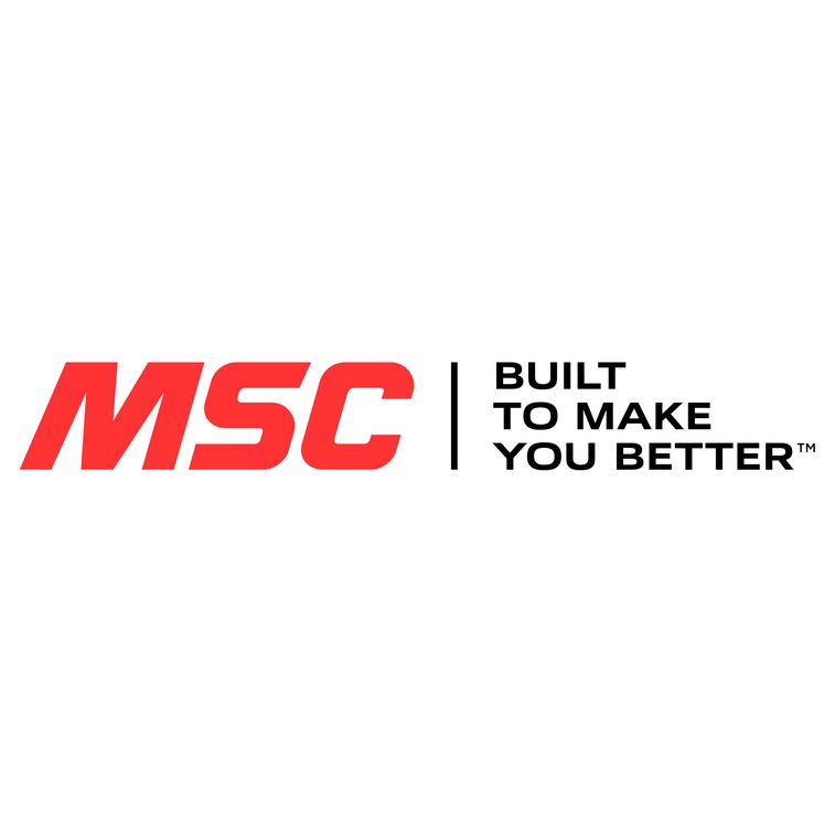 MSM logo