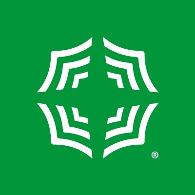 NSP logo