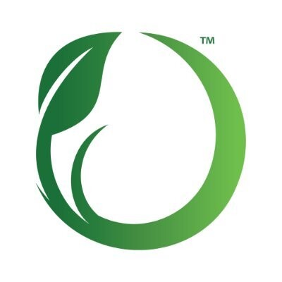 SFM logo